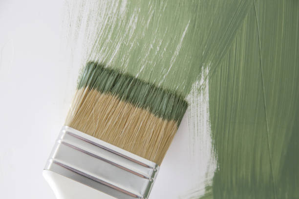 Best Water Damage & Mold Remediation  in Nth Bend, OR