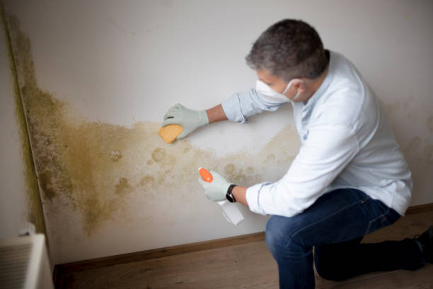 Best Air Quality Testing for Mold Spores  in Nth Bend, OR