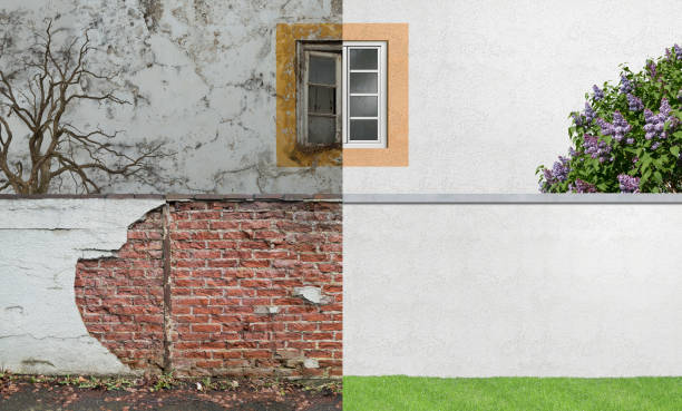 Best Black Mold Removal  in Nth Bend, OR